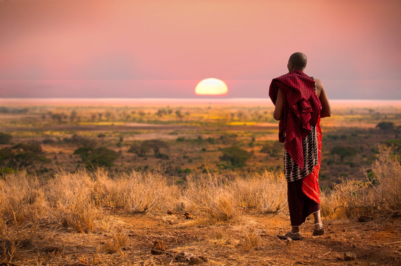 A Beginner’s Guide to Planning a Safari in Tanzania